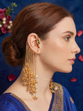 Multi Rangrez Kashmiri Earcuff Earrings
