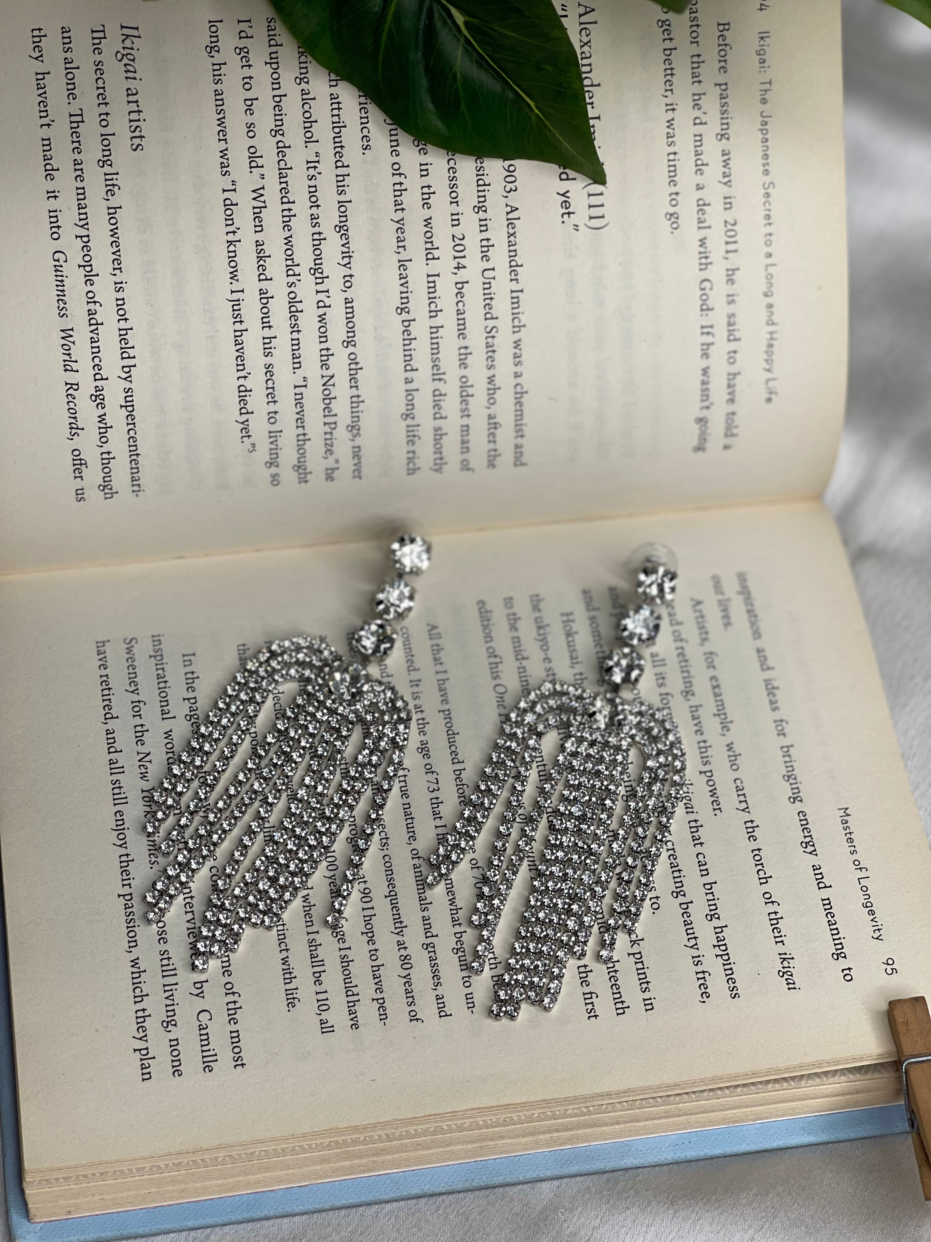 Fringe Statement Earrings
