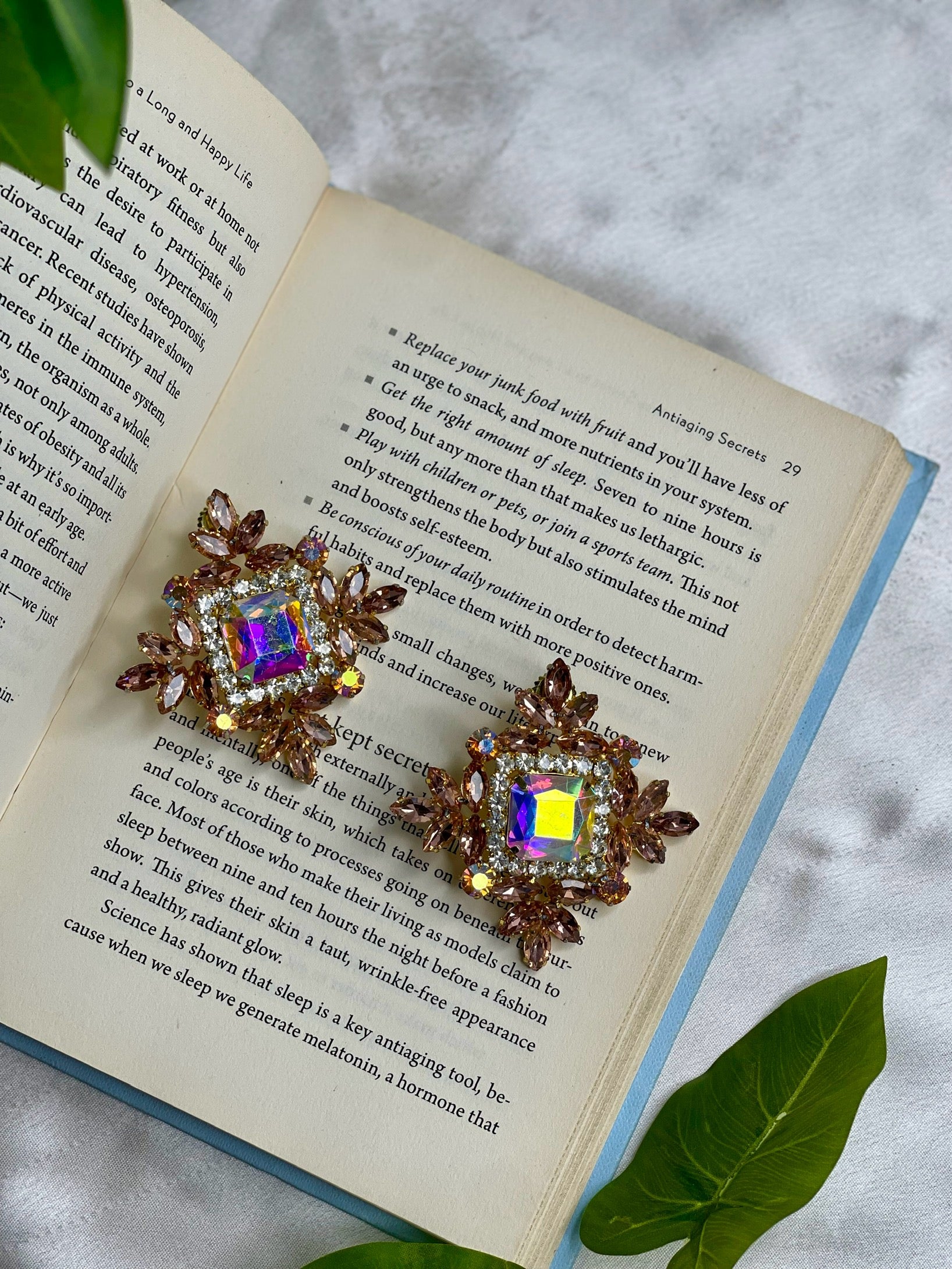 Brawn Bella Studs