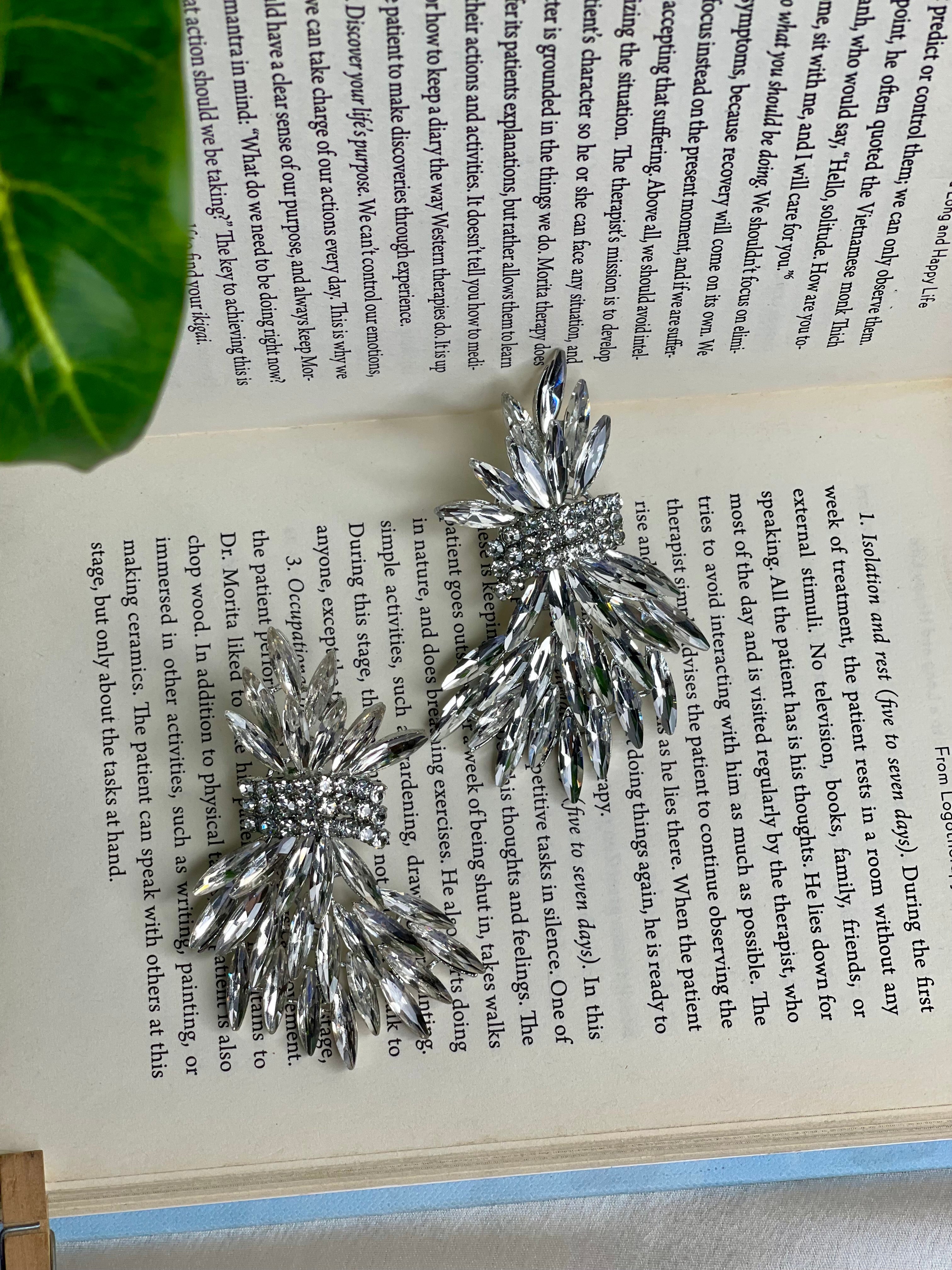 Silver Crystal Statement Earrings