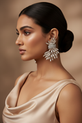 Silver Crystal Statement Earrings