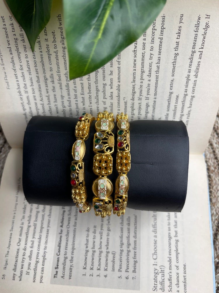 Taruna Multicolour Heritage Bangles (Pair)